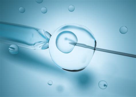 Researchers At University Of Aberdeen Looking For Fertility Feedback News The University Of