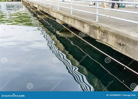 Squiggly Pier Lines Reflection Stock Photo Image Of Ocean Squiglly