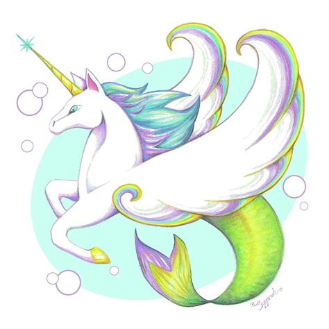Unicorn Of The Sea Drawing By Sipporah Art And Illustration