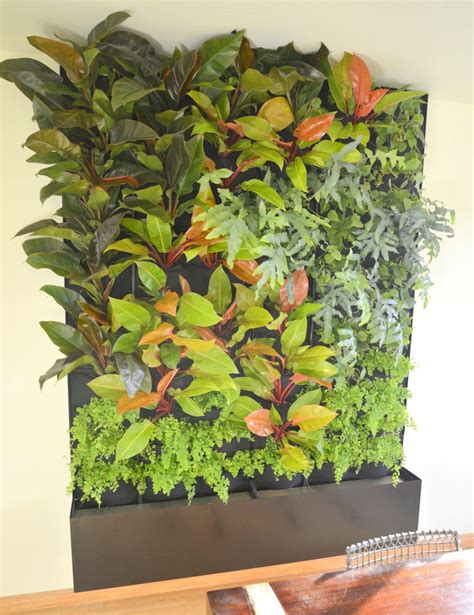Designer Chris Bribach Plants On Walls Custom Recirc Living Wall