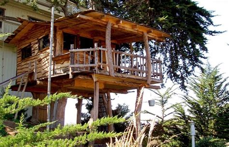 In A Treehouse 50 Places To Have Sex Before You Die