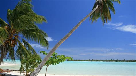 Download Wallpaper 3840x2160 Maldives Tropical Beach Palm Trees 4k