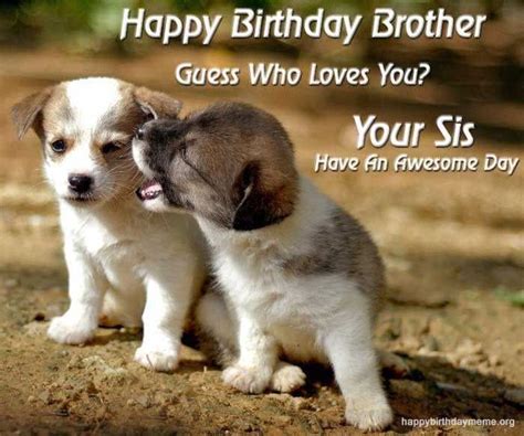 50 Funniest Happy Birthday Brother Meme Birthday Greetings For