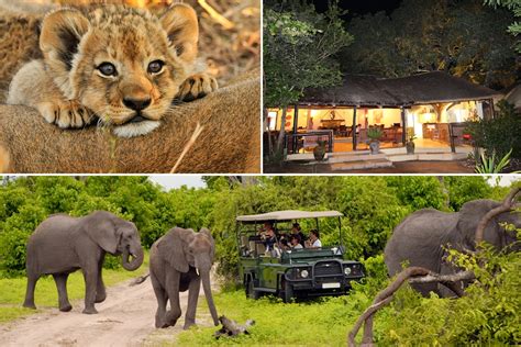 Kruger Park Lodge Safari Tour Detour Africa