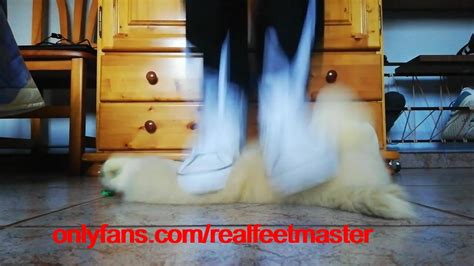 Trampling A Stuffed Toy Thisvid Com