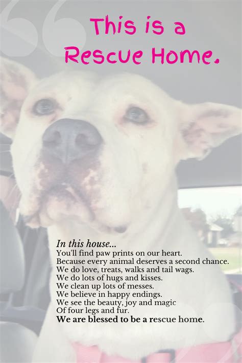 This Is A Rescue Home Poem For Dog Fosters Rescue Dog Quotes
