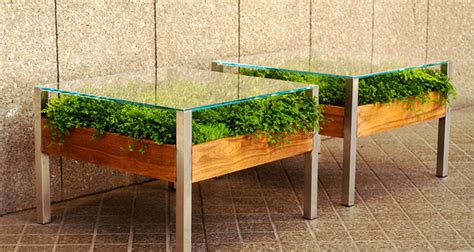 Dark walnut finished wood with double beveled tops. Living Table By Habitat Horticulture Features Plant ...