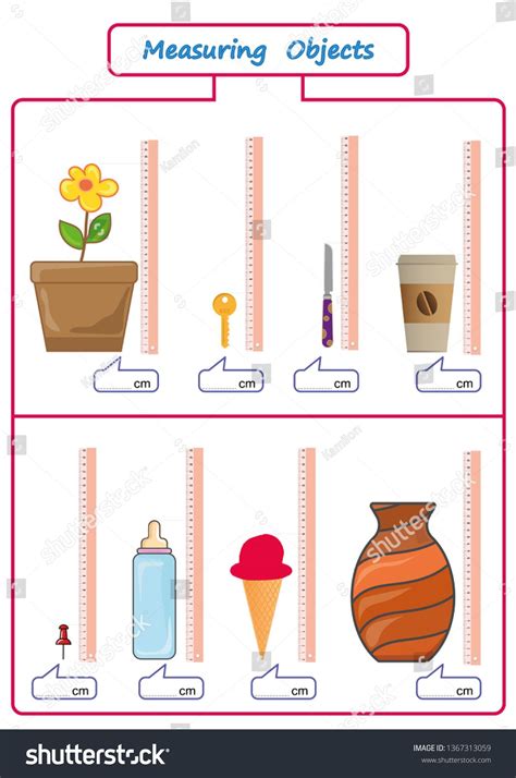 Measuring Length Objects Ruler Worksheet Kids Stock Vector Royalty Free