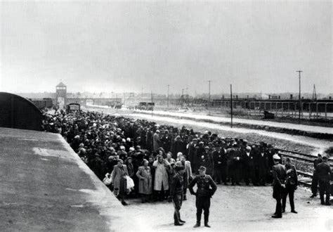 75 Years After Auschwitz Liberation Worry That ‘never Again Is Not