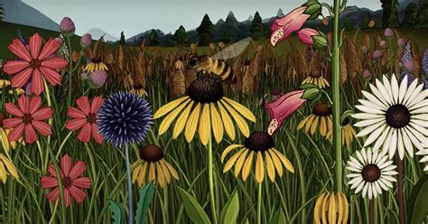 Watch A Garden Grow In Animated Short Film Story Of Flowers