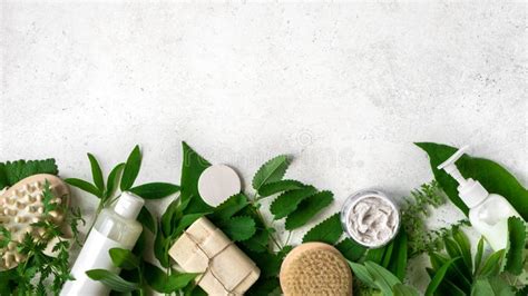 Natural Skincare And Leaves Stock Photo Image Of Background Product