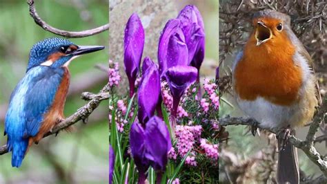 April Wildlife Nature Is Forging Ahead Visit Lynton And Lynmouth