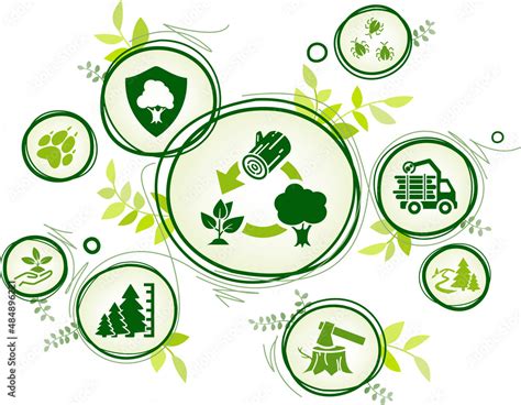 Sustainable Forest Management And Reforestation Vector Illustration