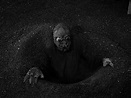 The Mole People (1956) - Midnite Reviews