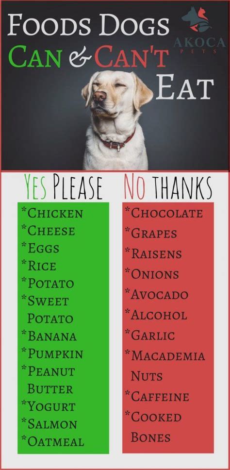 List Of Foods Dogs Cant Eat Printable