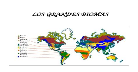 Los Grandes Biomas Zonas ClimÁticas En La Tierra Existen Dos Zonas