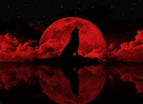 What Is The Wolf Blood Moon And Its Effect On Werewolves Ask Mystic