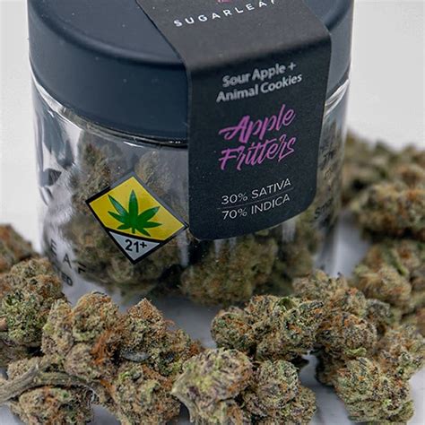I'm just play and play again and find out many private tricks to get more pool. Buy Apple Fritters Strain Online - 420 Canna Shop