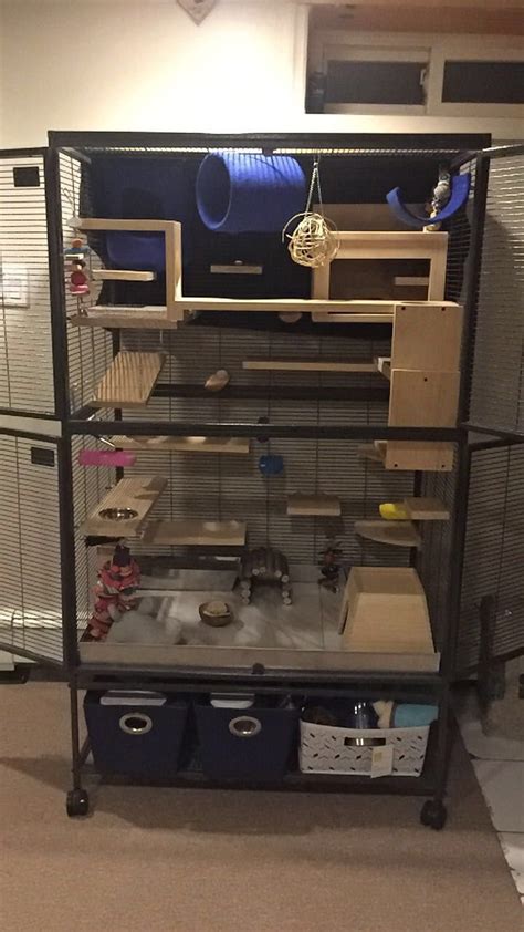 There are a few things to remember prior to making this decision: My chinchilla cage..we call it the chinchilla mansion! | Chinchilla cage, Ferret cage, Rat cage