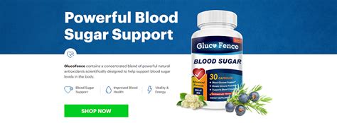 Healthgluco Fence Blood Sugar Formula — 100 Supports Healthy Blood