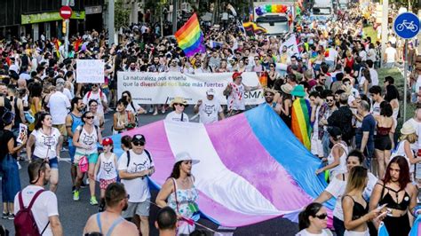 la ley de libertad sexual aumenta la división feminista sobre género y trans