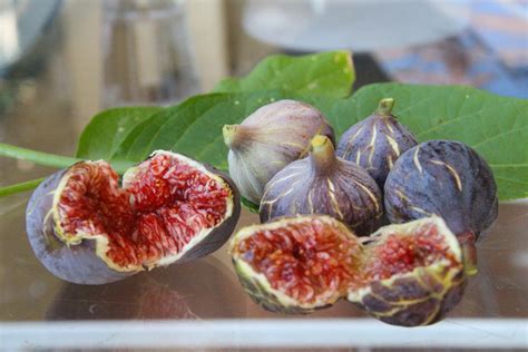 Greek Figs Are Simply Mouth Watering Mediterranean Recipes Figs