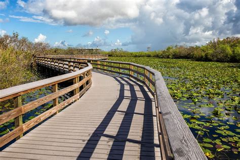 One Perfect Day In Everglades National Park Earth Trekkers
