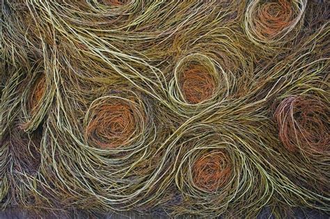 Patrick Doughertys Twig Sculptures Amusing Planet