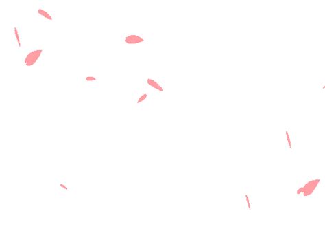Choose from 10000+ confetti graphic resources and download in the form of png, eps, ai or psd. Image - Tumblr mqpoziggwt1s5jjtzo1 500.gif | Animal Jam ...