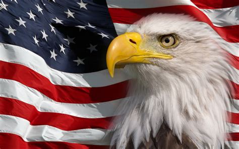 It consists of thirteen equal horizontal stripes of red. American Flag And Bald Eagle Symbol Of America Picture Hd ...