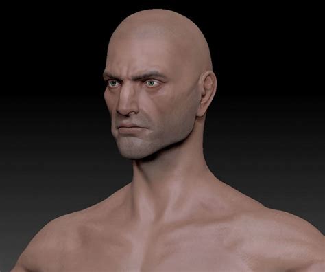 Male Adult Human Template Head Image The Lays Of Althas Sundered