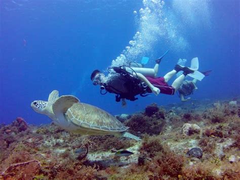 In The Drift Drift Diving Cozumel Things You Need To Know