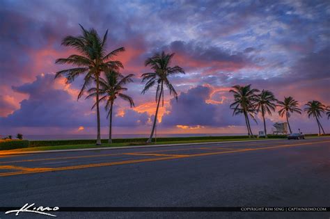 Coconut Tree At Ocean Blvd Palm Beach Island Sunrise Hdr Photography