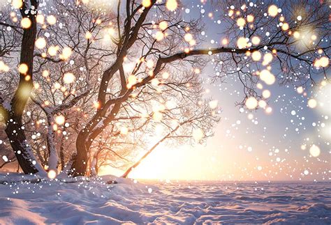 Winter Snow Tree Bokeh Christmas Backdrop For Photography Gx 1095