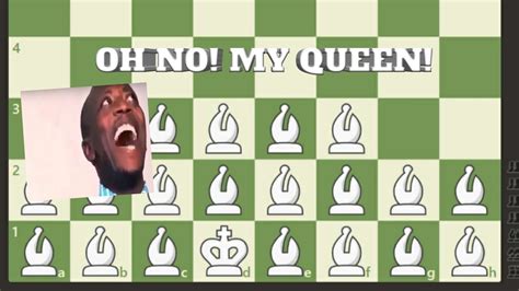 20 Bishops Vs 10 Queens Ll Chess Memes Youtube