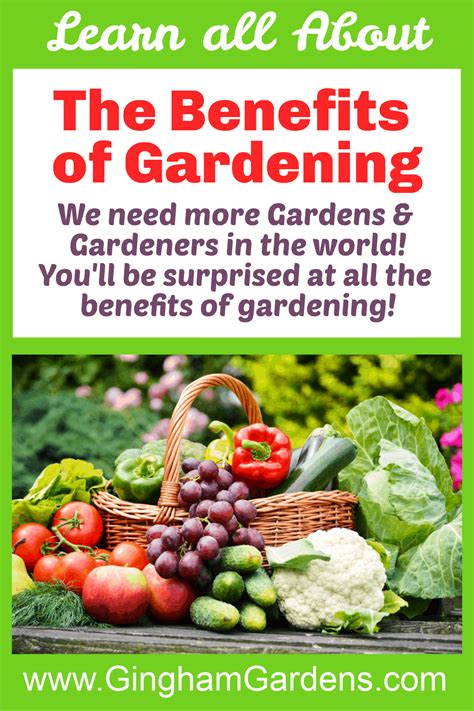 Benefits Of Gardening For Mental Health Beautiful Insanity