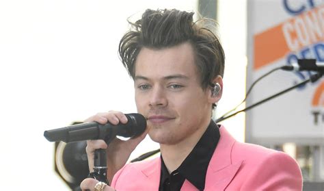 Harry Styles Has Never Felt The Need To Label His Sexuality Harry
