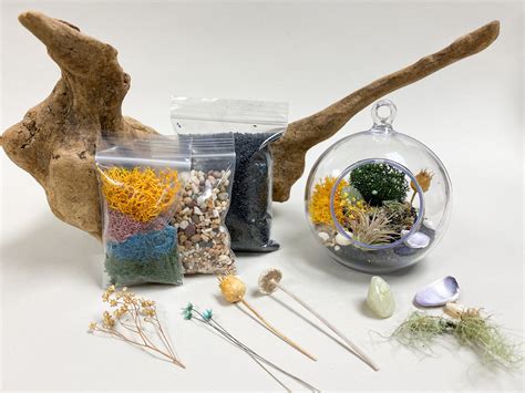 Beach Terrarium Kit Day At The Beach Terrarium Beach Terrariums Kits My XXX Hot Girl