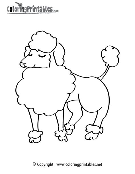 This is a good picture to start things off with as it is relatively. Poodle Coloring Page - A Free Animal Coloring Printable