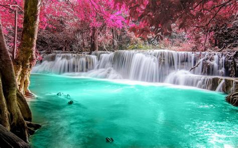 Waterfall Forest Colorful Nature Thailand Trees Landscape Pink