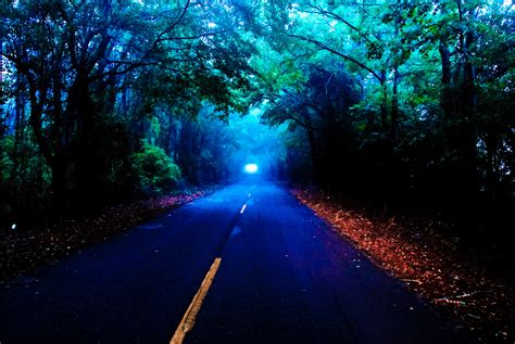 Foggy Road On Autumn Night
