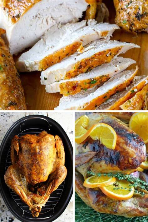 14 tasty turkey recipes for your thanksgiving feast insanely delicious
