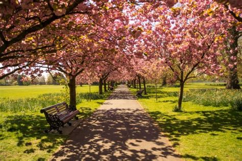 Free Images Landscape Tree Nature Mountain Architecture House