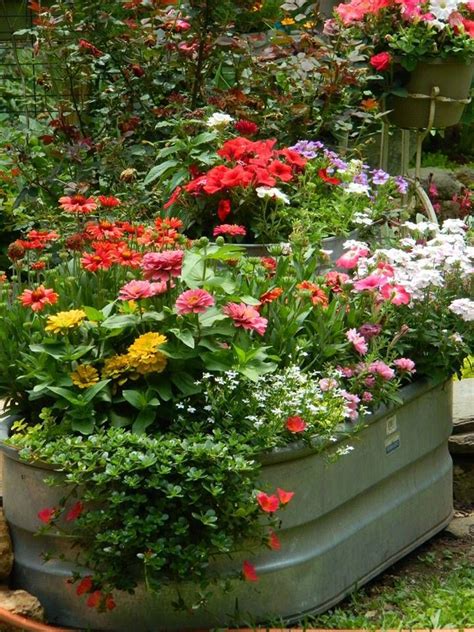Annuals In A Tub 720×960 Pixels Country Garden Decor