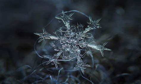Winter Macro Photography Ideas Macro Photography Snowflake Amazing
