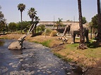 Unprecedented preservation of fossil feces from the La Brea Tar Pits