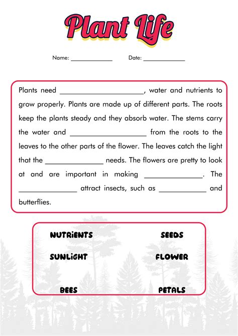 14 Best Images Of Plant Worksheets For Grade 1 Printable Plant Parts