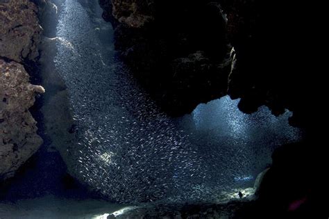 15 Impressive Underwater Caves That Will Mesmerize You Page 8