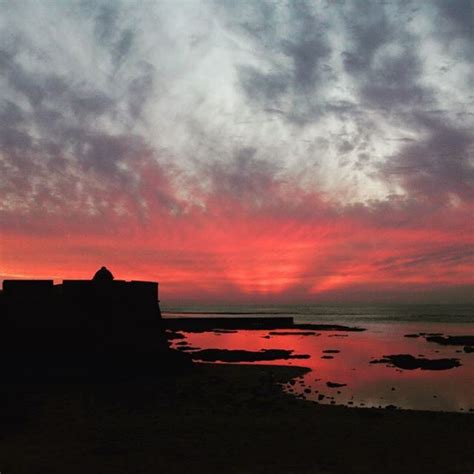 The film stars roland møller, peri baumeister, chidi ajufo and alexander scheer. Under a blood red sky..... . . . . . . . . . . #artofvisua ...