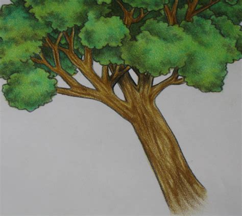 Baum malen acryl auf leinwand youtube from i.ytimg.com. Baum Zeichnen Leicht Ohne Blätter